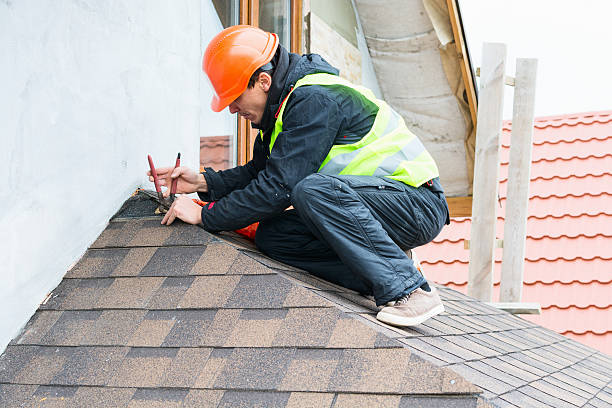 Roof Waterproofing Services in Web, AL