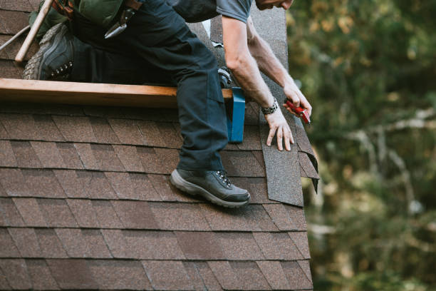 Quick and Trustworthy Emergency Roof Repair Services in Web, AL
